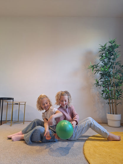 Mambo Max Mini Beweegset - Balance Cushion, Stapstenen & Soft Ball voor Balans, Coördinatie & Actief Spelen