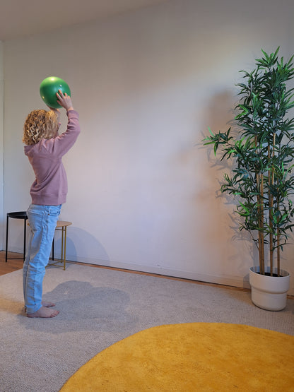 Mambo Max Mini Beweegset - Balance Cushion, Stapstenen & Soft Ball voor Balans, Coördinatie & Actief Spelen