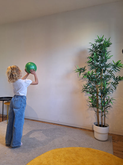 Mambo Max Junior Beweegset - Complete Bewegingsset voor Balans, Coördinatie & Actief Spelen
