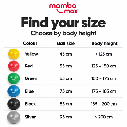 Mambo Max AB Gym Ball - Anti-Burst Fitnessbal met Pomp