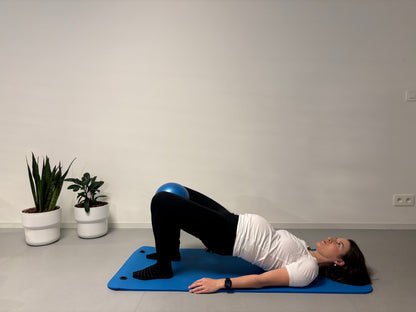 Mambo Max Care for Mom - Complete Wellness & Bewegingsset met Peanut Ball, Pilates Bal, Balance Cushion en Sportmat